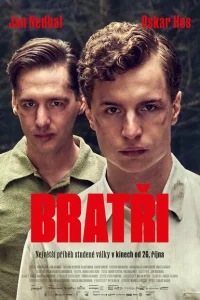 Братья Братья